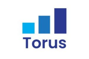 Torus.jpg